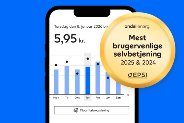 Appen Andel Energi er kåret til den mest brugervenlige selvbetjening i 2025 og 2024 af EPSI.